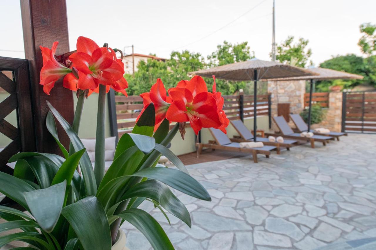 Villa Filyra Kato Gatzea Exteriör bild